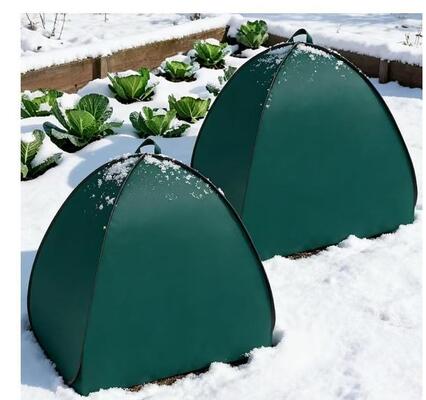Foldable Winter Plant Protection Tent Anti Frost Wind Snow Resistant for Garden Vegetable Fruit Flower