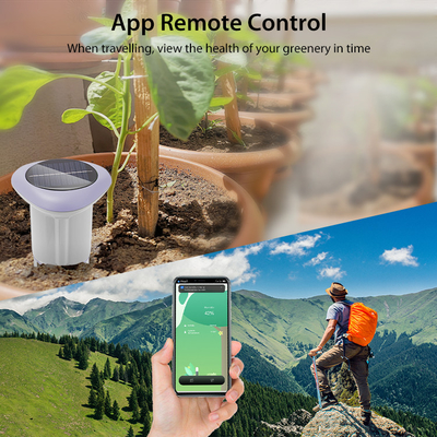 ZigBee 3.0 drahtloser Bodensensor   Solarbetriebener Smart Agriculture Monitor für präzise Bewässerung