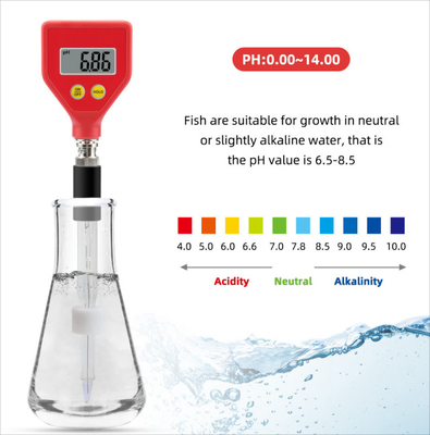 PH-98108 PH-Meter für Käse und Fischbehälter