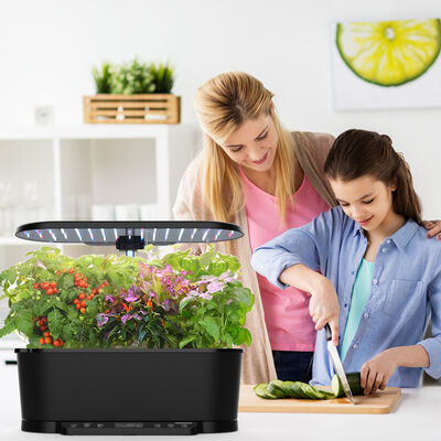 15 Pods Smart Hydroponiksystem mit Vollspektrum-LED und intelligenter Wasserzirkulation für Zimmerpflanzen