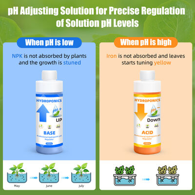 Hydroponisches pH-Anpassungsgerät mit 250 ml Kapazität für optimale Pflanzennahrungsstoffaufnahme und stabile Formel