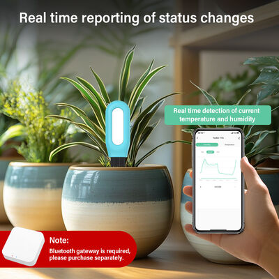 Wireless ZigBee Smart Bodenfeuchtigkeit Temperaturmonitor für Pflanzen App gesteuert